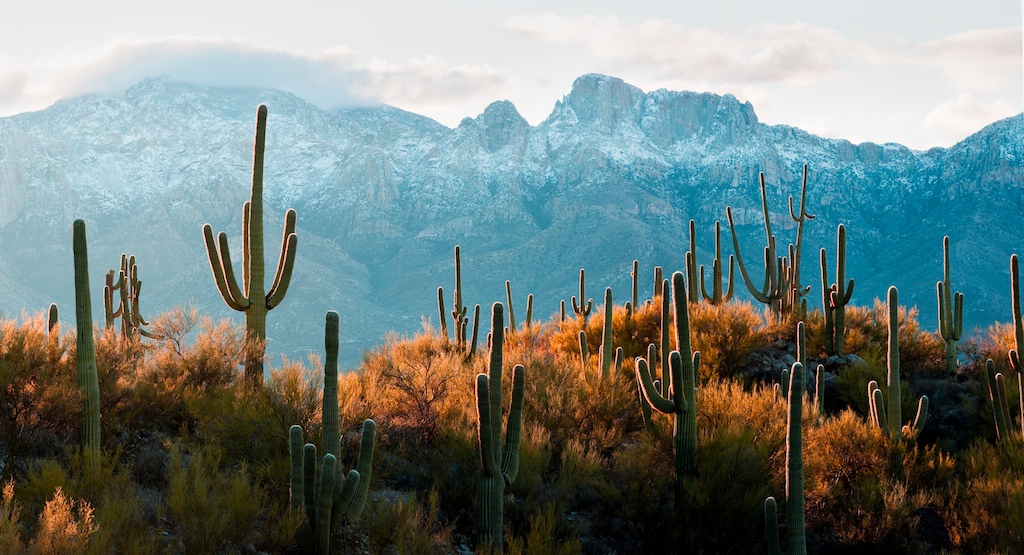 Tucson Mountains Az Tucson Mountains Catalina Santa Mountain Arizona ...