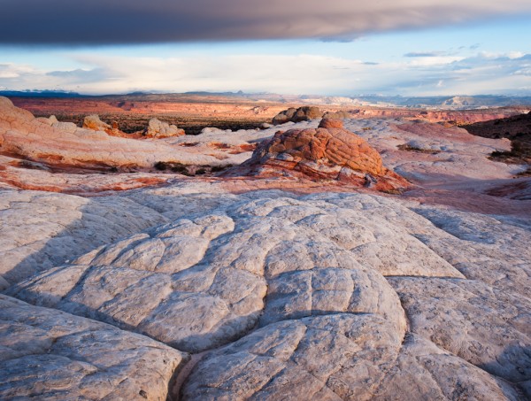 Visionary Wild ( Morning on the Colorado Plateau, Arizona. Â© Justin Black )